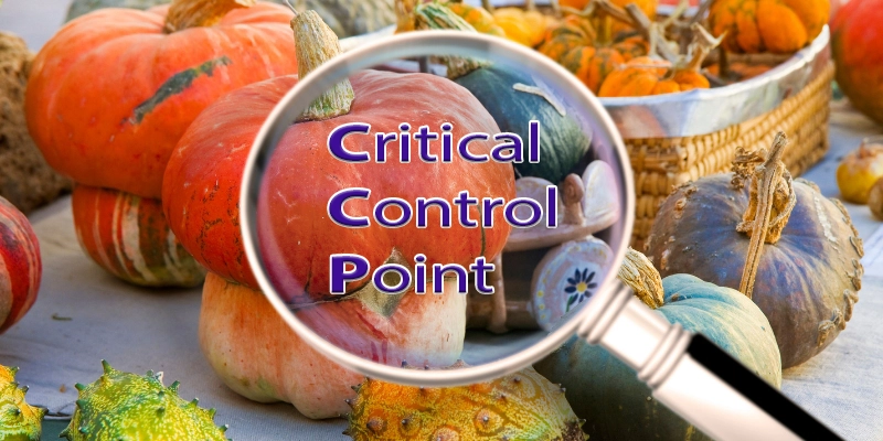 Critical Control Point (CCP) là điểm kiểm soát tới hạn