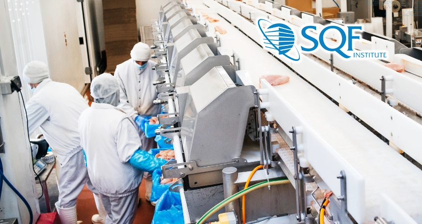 SQF 2000 - Áp dụng cho chế biến, đóng gói và phân phối thực phẩm