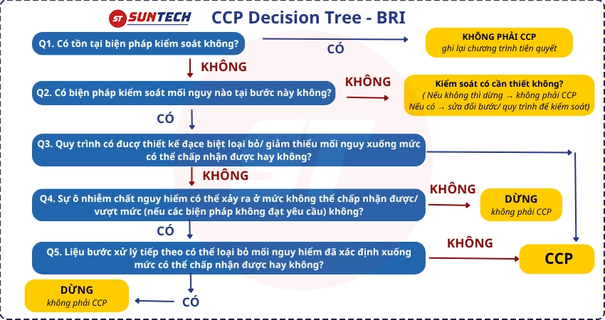 Cây quyết định theo BRI