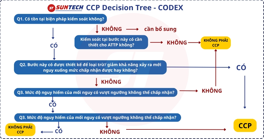 Cây quyết định theo CODEX
