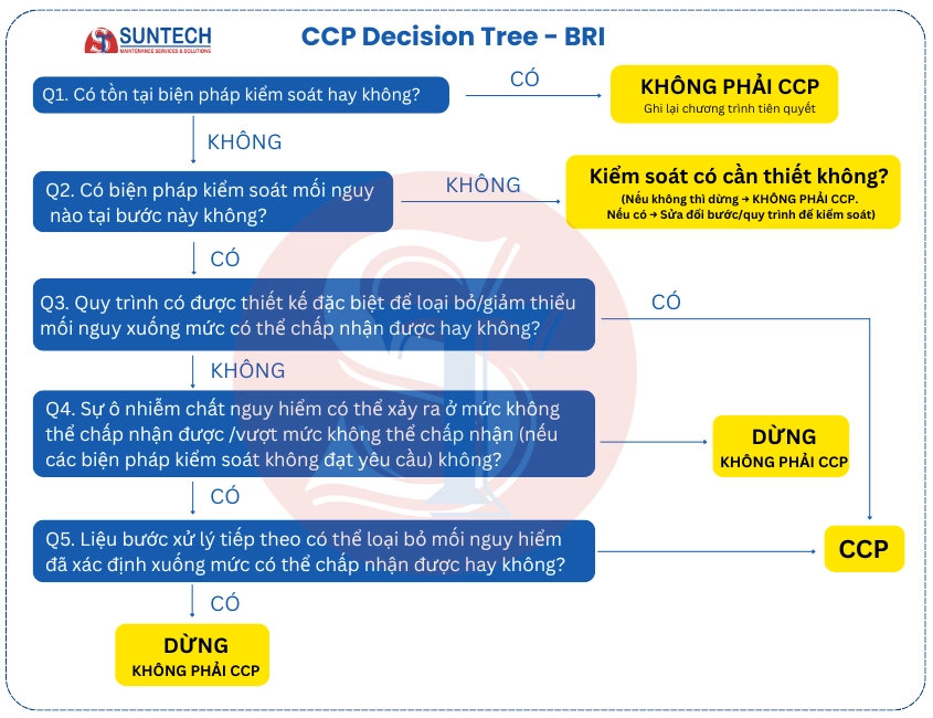 Cây quyết định theo BRI