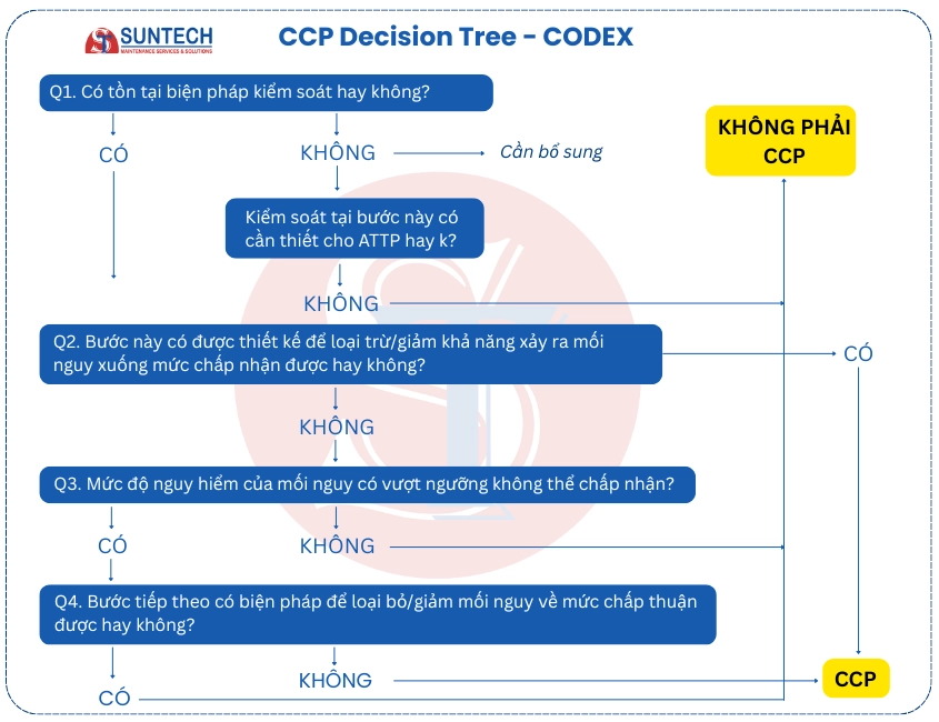Cây quyết định theo CODEX