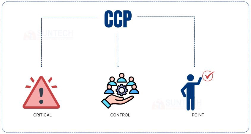 CCP (Critical Control Point) - Điểm kiểm soát tới hạn